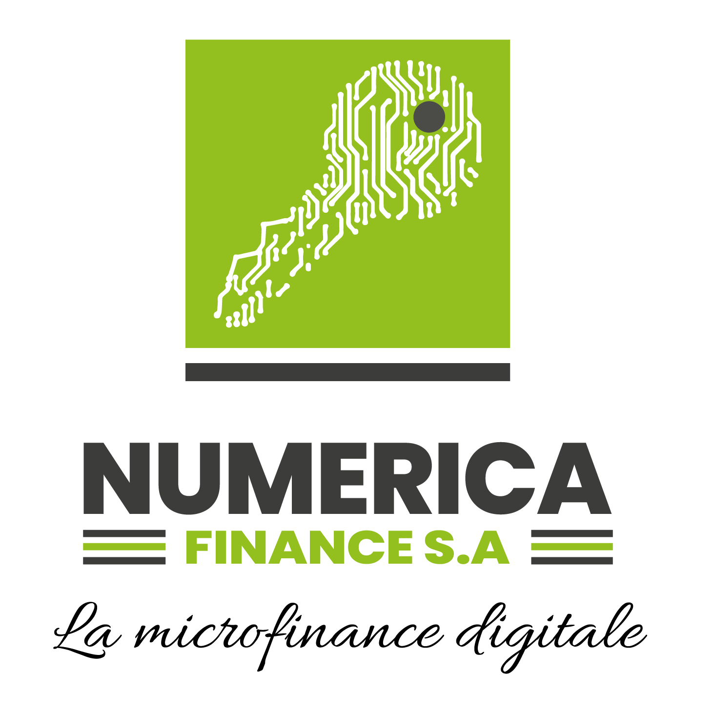 New Logo Nuùerica
